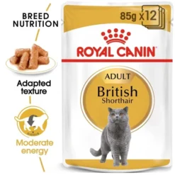 ROYAL CANIN British Shorthair Adult Katzenfutter Nass Für Britisch Kurzhaar