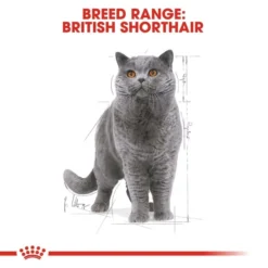 ROYAL CANIN British Shorthair Adult Katzenfutter Nass Für Britisch Kurzhaar -Trixie Verkäufe RoyalCanin Katzenfutter BritishShorthair Nassfutter inSosse 65f1ec6147ca78