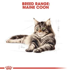ROYAL CANIN Maine Coon Adult Katzenfutter Trocken -Trixie Verkäufe RoyalCanin Katzenfutter MaineCoon 4