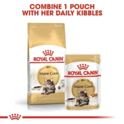 ROYAL CANIN Maine Coon Adult Katzenfutter Trocken -Trixie Verkäufe RoyalCanin Katzenfutter MaineCoon 6