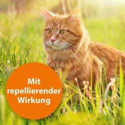 ARDAP Spot-On Für Katzen -Trixie Verkäufe ardab spot on fur katzen 2