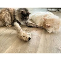 Aumüller Katzenspielkissen Zappel - Frettchen Speedy -Trixie Verkäufe aumueller katzen spielzeug zappel frettchen freddy web 1