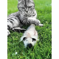 Aumüller Katzenspielkissen Zappel - Frettchen Speedy -Trixie Verkäufe aumueller katzen spielzeug zappel frettchen freddy web 10