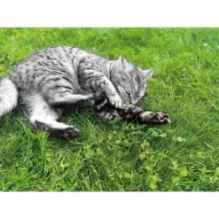 Aumüller Katzenspielkissen Zappel - Frettchen Speedy -Trixie Verkäufe aumueller katzen spielzeug zappel frettchen freddy web 7