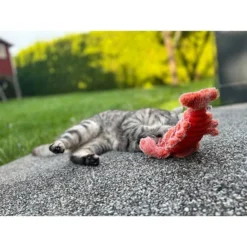 Aumüller Lucky Lobster Orange 18 Aumüller Lucky Lobster Orange -Trixie Verkäufe aumueller lucky lobster orange web 8