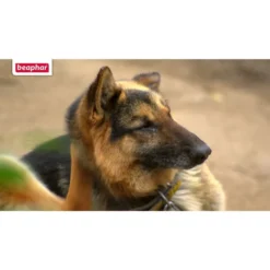 Beaphar Protecto Insekten Vernebler 200ml -Trixie Verkäufe beaphar protecto insekten vernebler 2