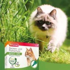 Beaphar Zecken- & Flohschutz SPOT-ON Für Katzen + Zeckenstift Gratis -Trixie Verkäufe beaphar zecken und flohschutz spot on fur katzen 58OMA4Yjwoanjx