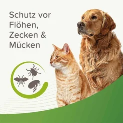 Beaphar Zecken- Und Flohschutz Spray 400ml -Trixie Verkäufe beaphar zecken und flohschutz spray 400ml 5