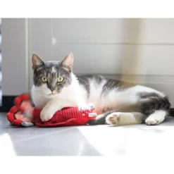 Beeztees Bewegender Hummer -Trixie Verkäufe beeztees bewegender hummer 5