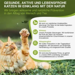 Bogaprotect Spot-On Katze -Trixie Verkäufe bogaprotect spot on katze s 5r363BjL8SXue3