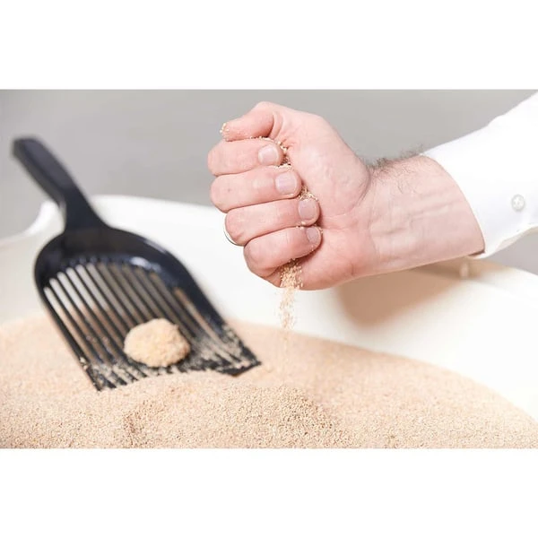 Classic Eco Cat 2 Classic Eco Cat – Bild 2