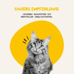 Dogs'n Tiger Glück Nassfutter Hühner- & Lachsfilet -Trixie Verkäufe futterungsempfehlung katzennassfutter 6mPRFswmSm16sp