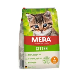 Mera Cat Kitten Huhn