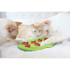 Nina Ottosson Puzzle & Play Buggin Out Intelligenzspielzeug -Trixie Verkäufe nina ottosson inteligenz spielzeug buggin out web 7