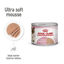 ROYAL CANIN MOTHER & BABYCAT Mousse Für Tragende Katzen Und Kitten