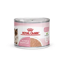 ROYAL CANIN MOTHER & BABYCAT Mousse Für Tragende Katzen Und Kitten -Trixie Verkäufe royal canin mother und babycat mousse fur tragende katzen und kitten 12
