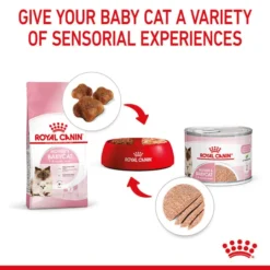 ROYAL CANIN MOTHER & BABYCAT Mousse Für Tragende Katzen Und Kitten -Trixie Verkäufe royal canin mother und babycat mousse fur tragende katzen und kitten 6