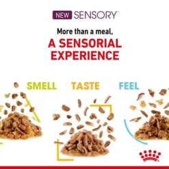 Royal Canin Sensory Smell Gravy -Trixie Verkäufe royal canin sensory smell gravy 3Pkd8q0cSwUH6J