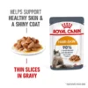 Royal Canin FCN Hair & Skin Gravy