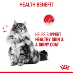 Royal Canin FCN Hair & Skin Jelly -Trixie Verkäufe royal canin hair skin care jelly web 4