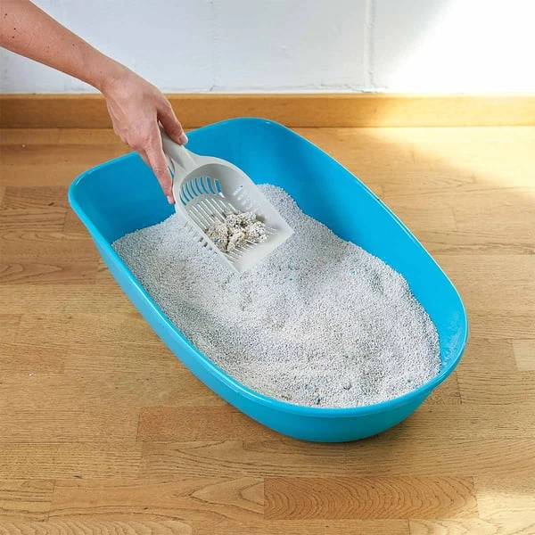 ZooRoyal Tigrooo Blue Magic 2 ZooRoyal Tigrooo Blue Magic – Bild 2