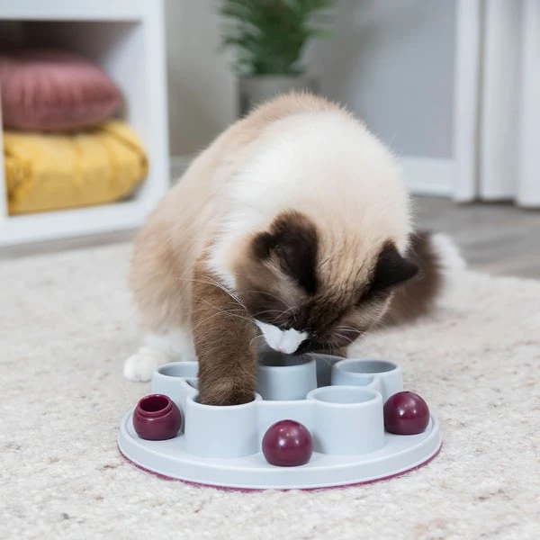 Trixie Cat Activity Pentagon 28cm 4 Trixie Cat Activity Pentagon 28cm – Bild 4