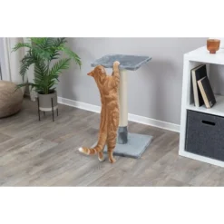 Trixie Kratzbaum Baena 69 Cm -Trixie Verkäufe trixie kratzbaum baena 4