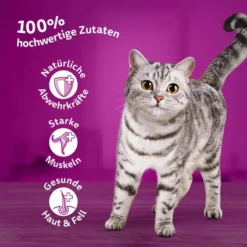 Titelseite -Trixie Verkäufe whiskas multipack 1plus fisch auswahl gelee 80x85g 1