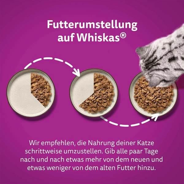 Whiskas Multipack 1+ Fisch Auswahl Gelee 80x85g 6 Whiskas Multipack 1+ Fisch Auswahl Gelee 80x85g – Bild 6