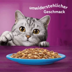 Whiskas Multipack 1+ Fisch Auswahl Gelee 80x85g 13 Whiskas Multipack 1+ Fisch Auswahl Gelee 80x85g -Trixie Verkäufe whiskas multipack 1plus fisch auswahl gelee 80x85g 6