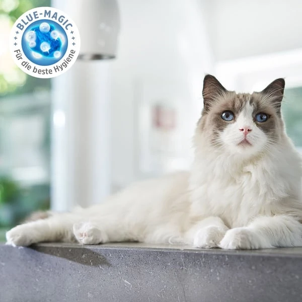 ZooRoyal Tigrooo Blue Magic 3 ZooRoyal Tigrooo Blue Magic – Bild 3