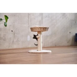 ZooRoyal Kratzbaum Karla 48,5 Cm Creme -Trixie Verkäufe zooroyal kratzbaum karla 48 5cm creme web 1